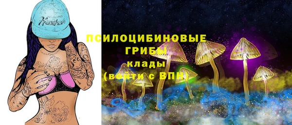 трава Арсеньев