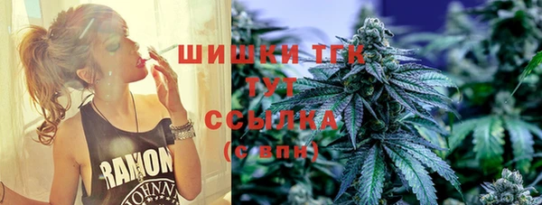 трава Арсеньев